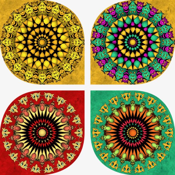 created by InCollage