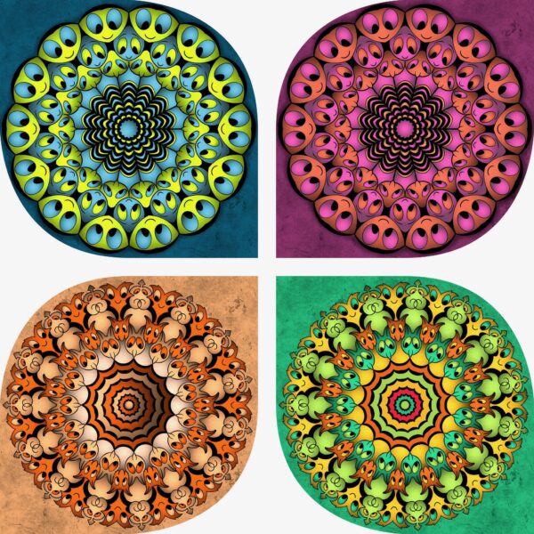 created by InCollage