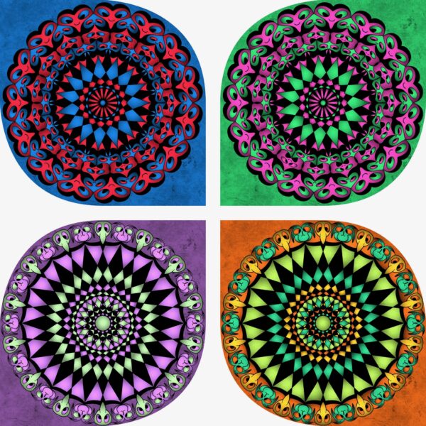 created by InCollage