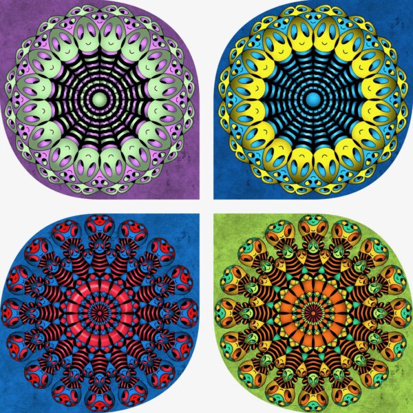 created by InCollage