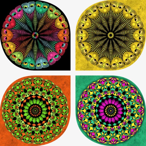 created by InCollage