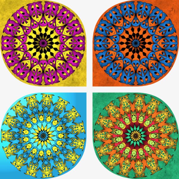 created by InCollage