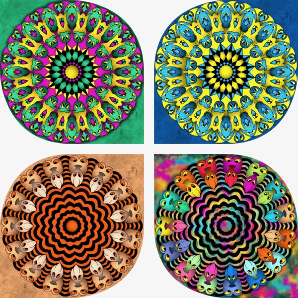 created by InCollage