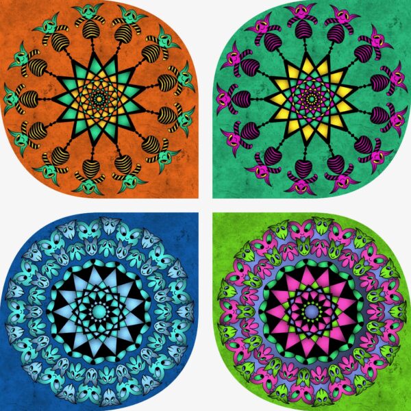 created by InCollage