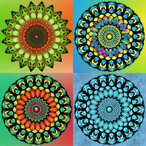 created by InCollage