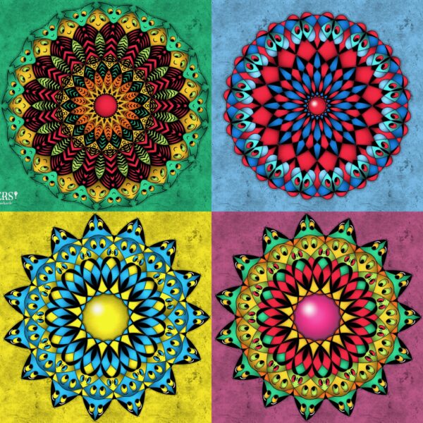 created by InCollage