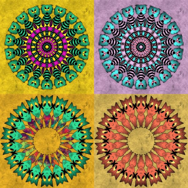 created by InCollage