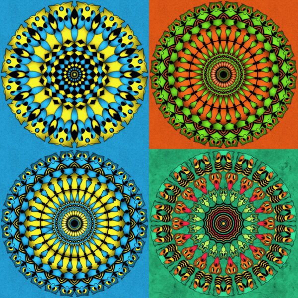 created by InCollage
