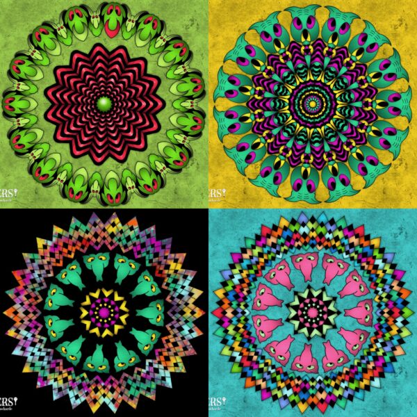 created by InCollage