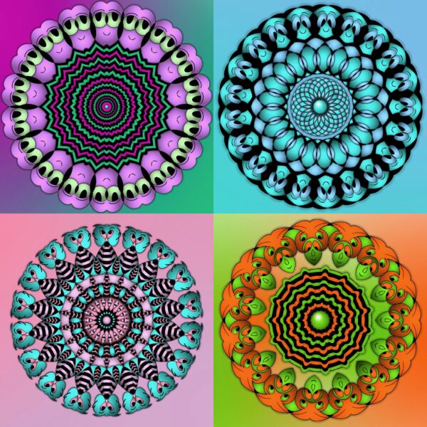 created by InCollage
